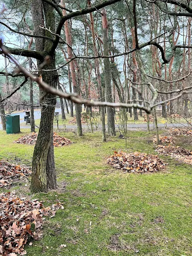 Twój Blask Jakub Kosiński i Marcin Kraśniewski s.c.